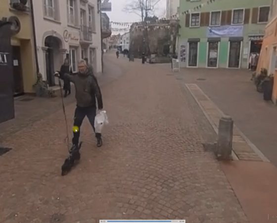 Hundegänger